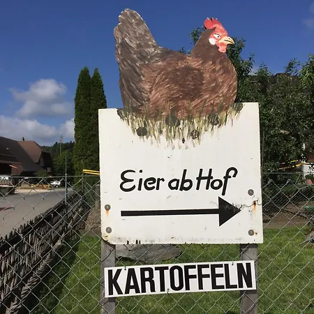 Zur alten Schmiede, 70m2 Studio mit Kaminfeuer, Sauna, E-Auto-Ladestation Fraubrunnen Exterior foto
