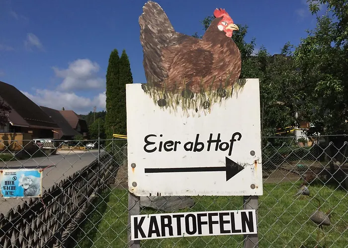 Zur alten Schmiede, 70m2 Studio mit Kaminfeuer, Sauna, E-Auto-Ladestation